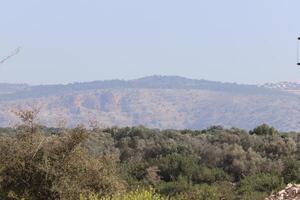paisagem nas montanhas no norte de israel. foto