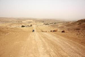 a negev é uma deserto dentro a meio leste, localizado dentro Israel e ocupando sobre 60. do Está território. foto