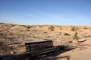 a negev é uma deserto dentro a meio leste, localizado dentro Israel e ocupando sobre 60. do Está território. foto