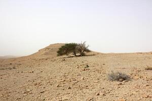 a negev é uma deserto dentro a meio leste, localizado dentro Israel e ocupando sobre 60. do Está território. foto