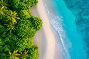 foto relaxante aéreo de praia cena verão período de férias