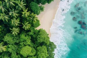 foto relaxante aéreo de praia cena verão período de férias