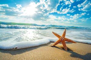 foto estrelas do mar em verão ensolarado de praia às oceano