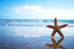 foto estrelas do mar em verão ensolarado de praia às oceano