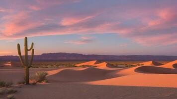 pôr do sol sobre a deserto. deserto pôr do sol com uma cacto e dourado areia dunas. panorama papel de parede do deserto duna. foto