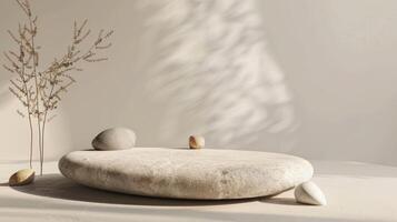 moderno abstrato exibição pódios com pedras e delicado seco plantas em uma ensolarada branco superfície foto