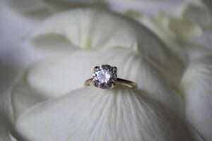 Casamento anel em branco pétalas do rosas. foto