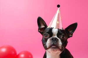 celebração, feliz aniversário, Novo anos véspera festa, engraçado animal cumprimento cartão - fofa cachorro animal com Rosa festa chapéu em Rosa parede fundo textura foto