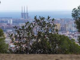 arbusto e árvores com urbano panorama com térmico poder plantar chaminés. foto