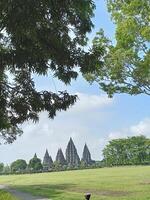 prambanan têmpora pátio com árvores dentro Indonésia foto