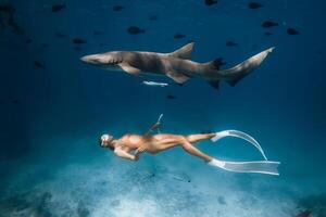 mulher dentro mascarar e barbatanas natação com enfermeira tubarões dentro uma tropical azul oceano dentro a Maldivas. foto