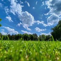 cênico gramíneo campo com árvores e nuvens foto