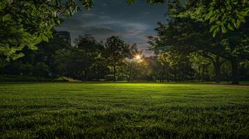 Sol brilhando através árvores dentro parque foto