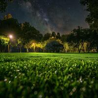 gramíneo campo com árvores e luzes foto