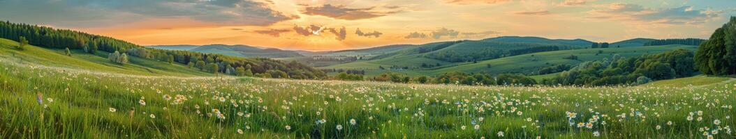 gramíneo campo com montanhas pintura foto