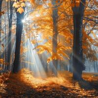 exuberante floresta com denso árvore cobertura foto