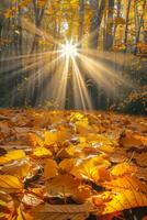 luz solar filtrando através floresta folhas foto