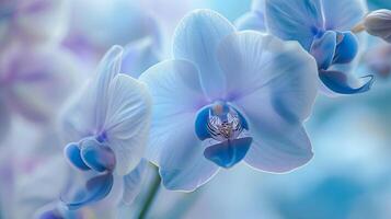 encantador mundo do flora, uma delicado colori orquídea dentro cheio flor foto