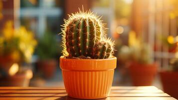 cacto suculento deserto plantar em mesa caloroso Sol luz casa decoração foto