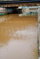 rio água fluindo velozes depois de a chuva com sujo Castanho água. foto