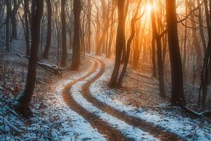 uma inverno panorama com uma floresta caminho. . foto