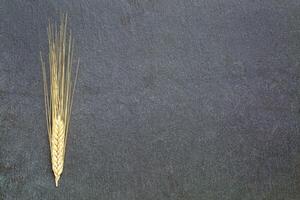 orelhas do trigo em ardósia pedra foto