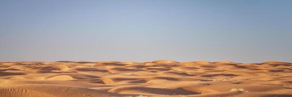 empoeirado e ventoso manhã dentro areia dunas campo foto