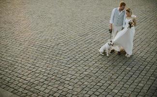 vista de alto ângulo para um jovem casal recém-casado com seu cachorro jack russel terrier foto