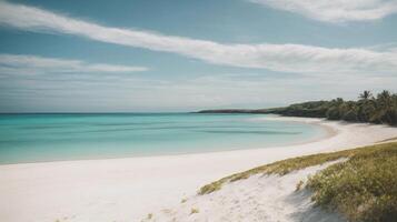 paraíso de praia sem pessoas foto