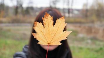 garota segura uma folha de bordo amarela na frente dela. uma jovem cobriu o rosto com uma folha de bordo de outono amarela em um parque. linda garota aproveitando o clima quente. clima de outono. aproveite a temporada foto