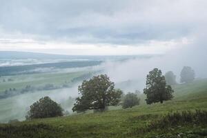 névoa desce a partir de a montanha para dentro a rio vale, Grosso fumaça cobre a floresta, a nuvem tem caído para a chão, nublado clima foto