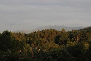 montanha panorama por aí Gatlinburg Tennessee foto