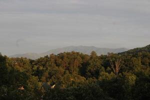 montanha panorama por aí Gatlinburg Tennessee foto