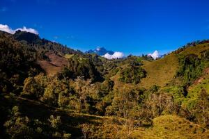 a surpreendente paisagens do a central gamas em a subida para a Alto do cartas entre a cidades do Fresno e manizales dentro Colômbia foto