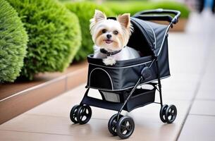 ai gerado retrato do fofa pequeno branco yorkshire terrier cachorro sentado dentro animal carrinho de criança ao ar livre em passarela foto