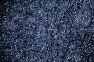 textura de tempestade de neve com galhos de floresta no fundo foto