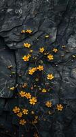 abundância do pequeno amarelo flores em Sombrio pedra fundo foto