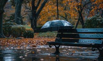 uma solitário guarda-chuva em uma molhado parque Banco durante dentro a chuva foto