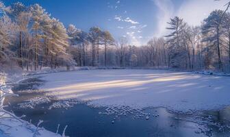 uma inverno panorama com uma congeladas lago e coberto de neve floresta foto