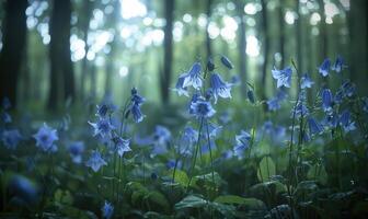 bellflowers dentro uma bosque limpeza, fechar-se visualizar, seletivo foco foto