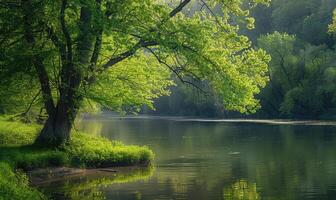 uma tranquilo margem do rio forrado com brotamento árvores e vibrante vegetação. Primavera natureza fundo foto