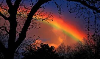 colorida arco Iris depois de Primavera chuva, arco Iris em Sombrio nublado céu foto