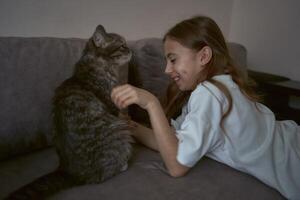 menina tocam com uma gato foto