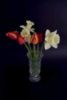 tulipas e narcisos dentro uma cristal vaso em uma Preto fundo foto
