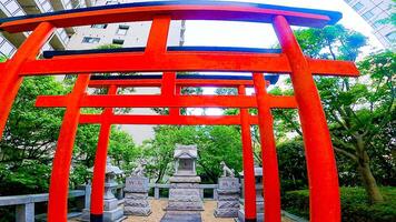 ginsekai Inari santuário é uma santuário localizado dentro a canto do shinjuku parque torre, nishi-shinjuku, Shinjuku-ku, Tóquio, Japão. isto todo área estava a residência do uma certo feudal senhor durante a edo foto