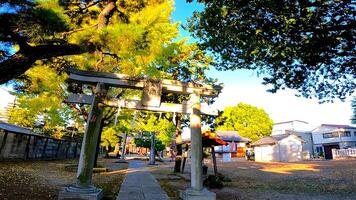 rokugatsu hachiman santuário, uma santuário dentro rokugatsu, adachi-ku, Tóquio, Japão. isto estava construído durante a 1053-1058 foto