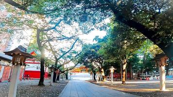 Shinjuku, Tóquio, Japão. hanazono santuário, uma santuário em pé dentro a meio do a cidade. isto existia dentro 1590, a ano Tokugawa ieyasu entrou Tóquio foto