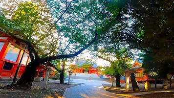 Shinjuku, Tóquio, Japão. hanazono santuário, uma santuário em pé dentro a meio do a cidade. isto existia dentro 1590, a ano Tokugawa ieyasu entrou Tóquio foto