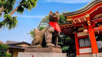 wakabayashi Inari santuário Raposa Raposa e vermelho santuário edifício.wakabayashi Inari santuário é uma santuário dentro setagaya ala, Tóquio. desde isto recebido uma doação do santuário território dentro 1769, isto é presumido foto