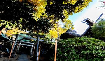 shimane washi santuário é localizado dentro shimane, Adachi ala, Tóquio, Japão. isto área é disse para estar a antigo enseada Onde a Deuses desembarcou em barcos foto